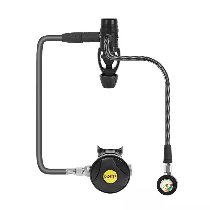Tüplü Dalış Silindiri Birinci  - Snorkel Set incelemesi ve fiyatı
